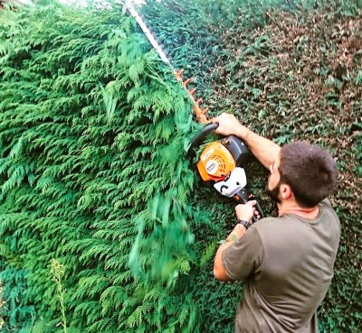 Hedge trimming by your Gardener for the Gloucester area and beyond. 